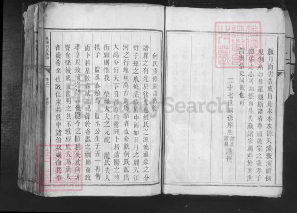 湖南省郴州市桂东县桥头乡何氏族谱-桂阳何氏族谱.pdf电子版预览图5