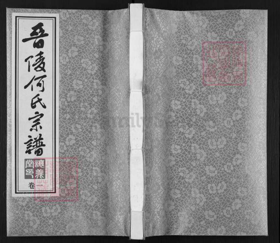 江苏省常州市武进县何氏让义堂族谱-晋陵何氏宗谱.pdf电子版缩略图