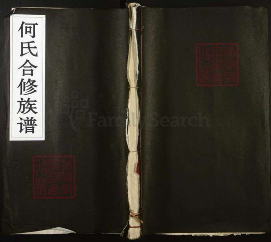 广东省梅州市梅县区大坪镇何氏庐江堂族谱-何氏合修族谱.pdf电子版缩略图