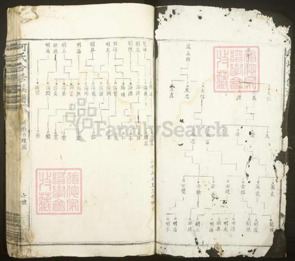 广东省梅州市梅县区大坪镇何氏庐江堂族谱-何氏合修族谱.pdf电子版预览图2