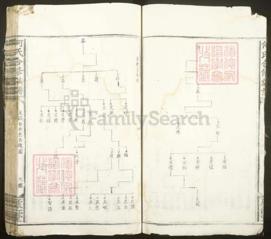 广东省梅州市梅县区大坪镇何氏庐江堂族谱-何氏合修族谱.pdf电子版预览图5
