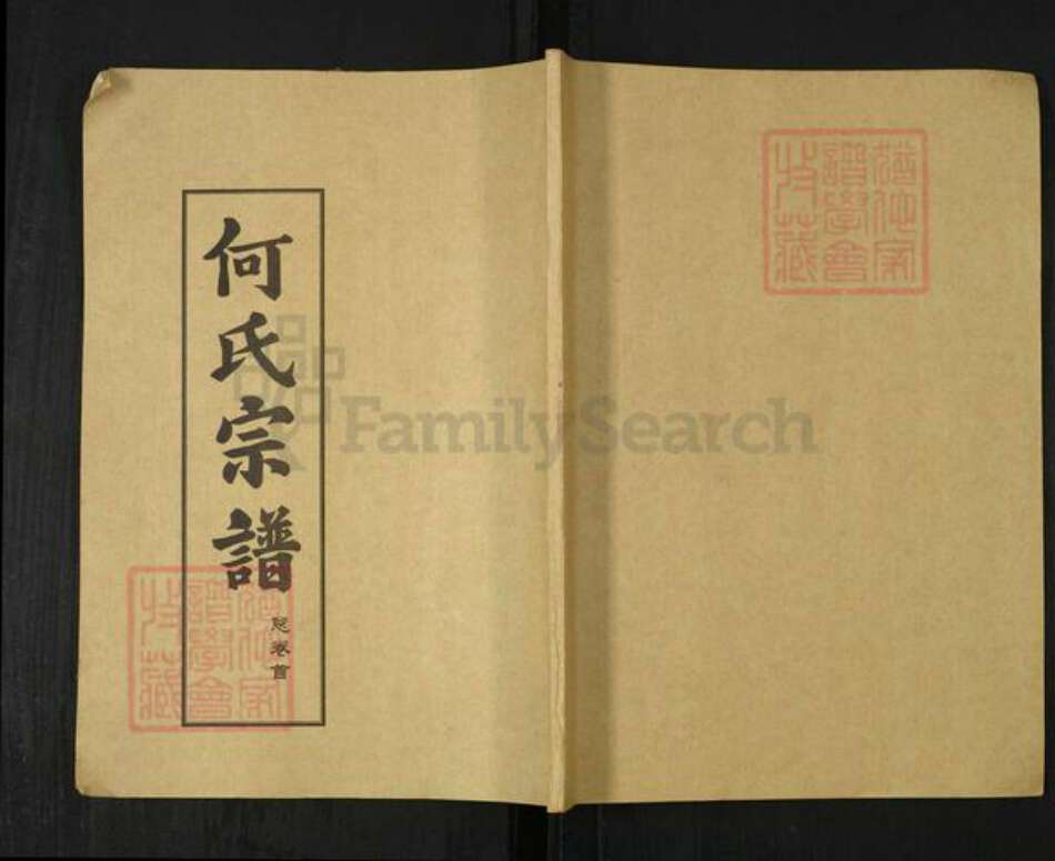 湖北省武汉市新洲区何氏德行堂族谱-何氏宗谱.pdf电子版缩略图