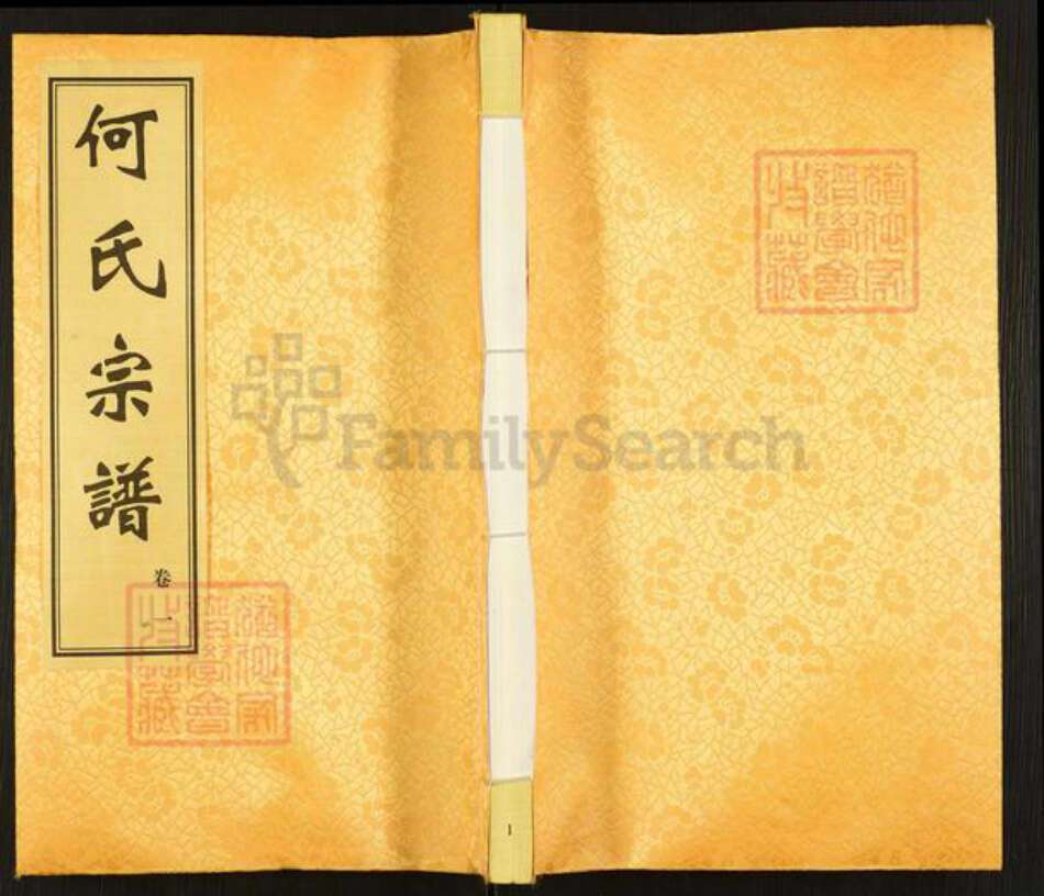 江苏省常州市武进县何氏三高堂族谱-何氏宗谱.pdf电子版缩略图