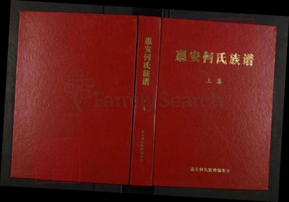 福建省泉州市惠安县何氏庐江堂族谱-惠安何氏族谱.pdf电子版缩略图