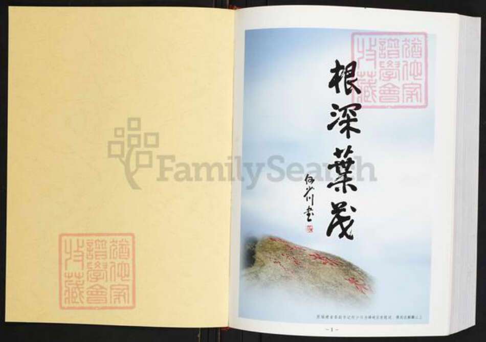 福建省泉州市惠安县何氏庐江堂族谱-惠安何氏族谱.pdf电子版预览图1