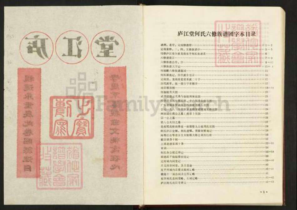 江西省赣州市定南县何氏庐江堂族谱-何氏六修族谱.pdf电子版预览图2