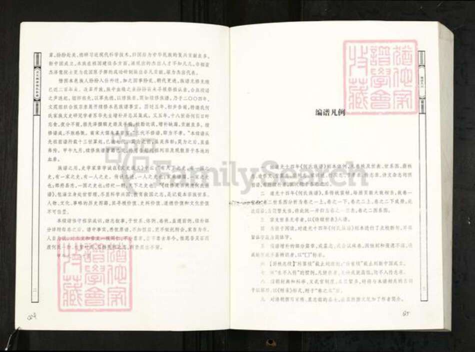 山西省晋中市灵石县两渡镇何氏族谱-灵石两渡何氏族谱.pdf电子版预览图2