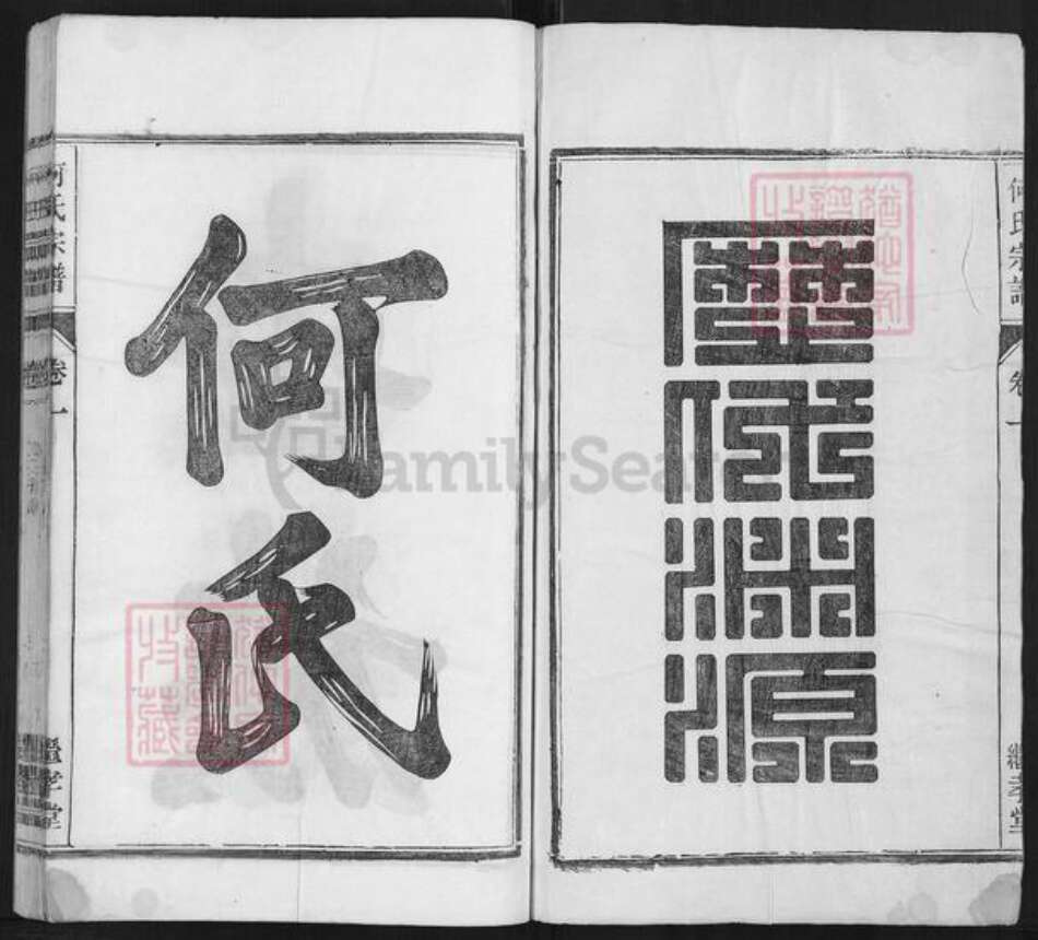 安徽省池州市贵池区牌楼镇何氏继孝堂族谱-何氏宗谱.pdf电子版预览图1