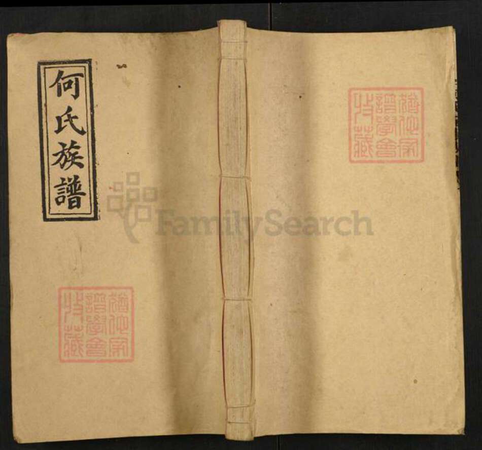 湖南省邵阳市新邵县严塘镇何氏九九堂族谱-何氏五修族谱.pdf电子版缩略图