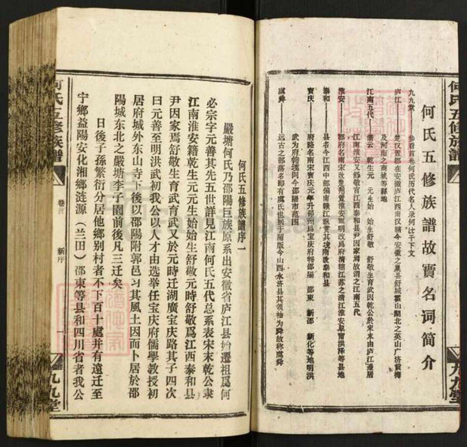 湖南省邵阳市新邵县严塘镇何氏九九堂族谱-何氏五修族谱.pdf电子版预览图3