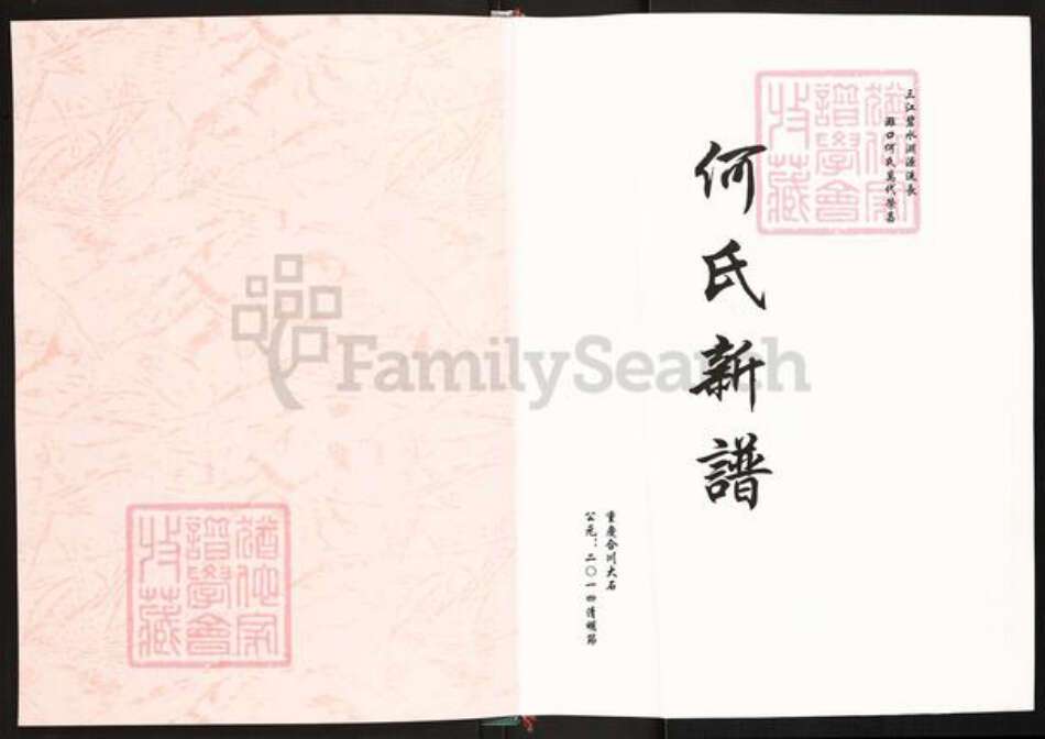 重庆市合川区何氏庐江堂族谱-何氏新谱.pdf电子版预览图1