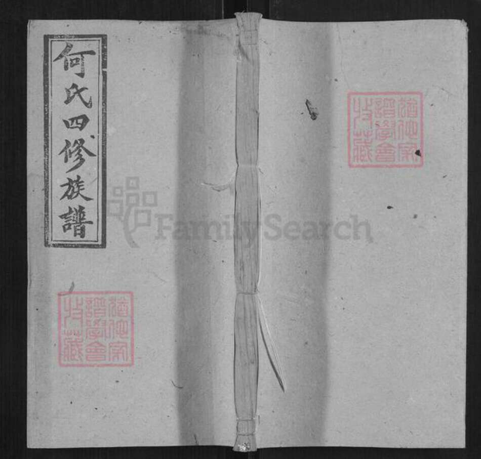 湖南省邵阳市何氏族谱-何氏四修族谱.pdf电子版缩略图