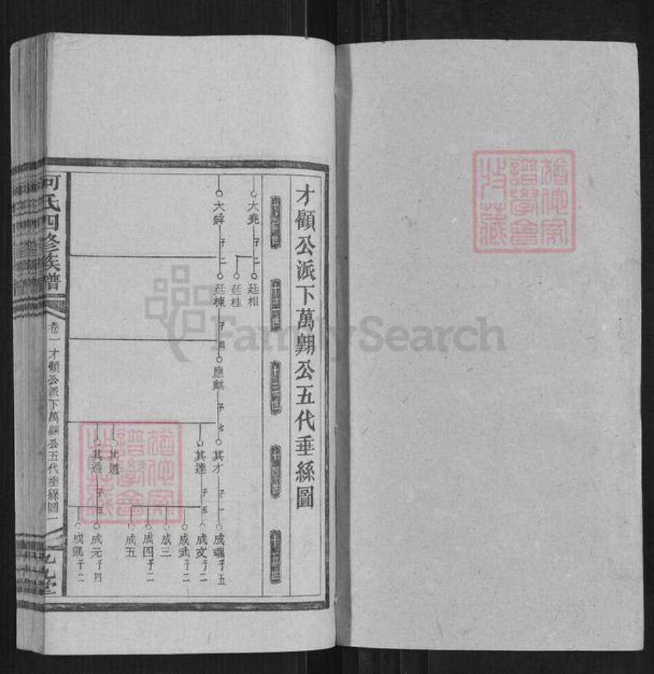 湖南省邵阳市何氏族谱-何氏四修族谱.pdf电子版预览图1