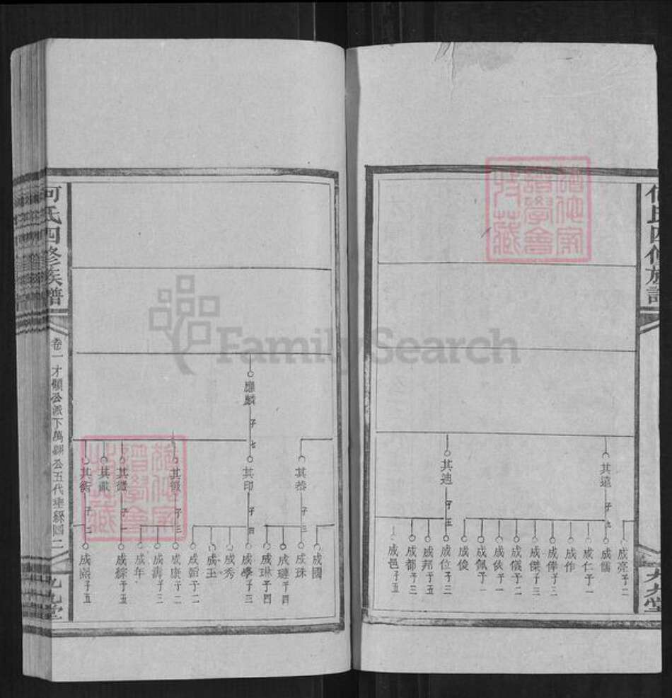 湖南省邵阳市何氏族谱-何氏四修族谱.pdf电子版预览图2