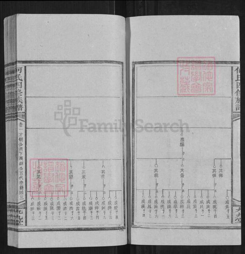 湖南省邵阳市何氏族谱-何氏四修族谱.pdf电子版预览图3