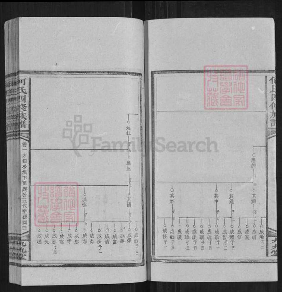湖南省邵阳市何氏族谱-何氏四修族谱.pdf电子版预览图4