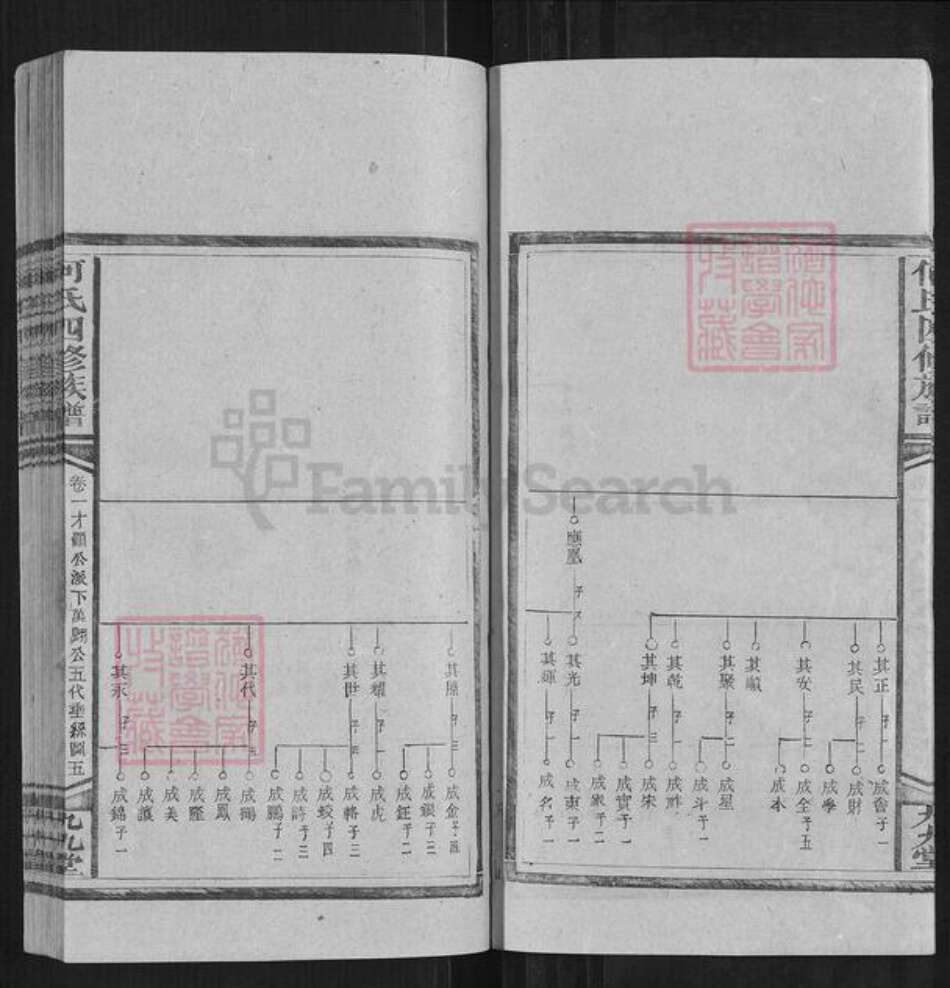 湖南省邵阳市何氏族谱-何氏四修族谱.pdf电子版预览图5