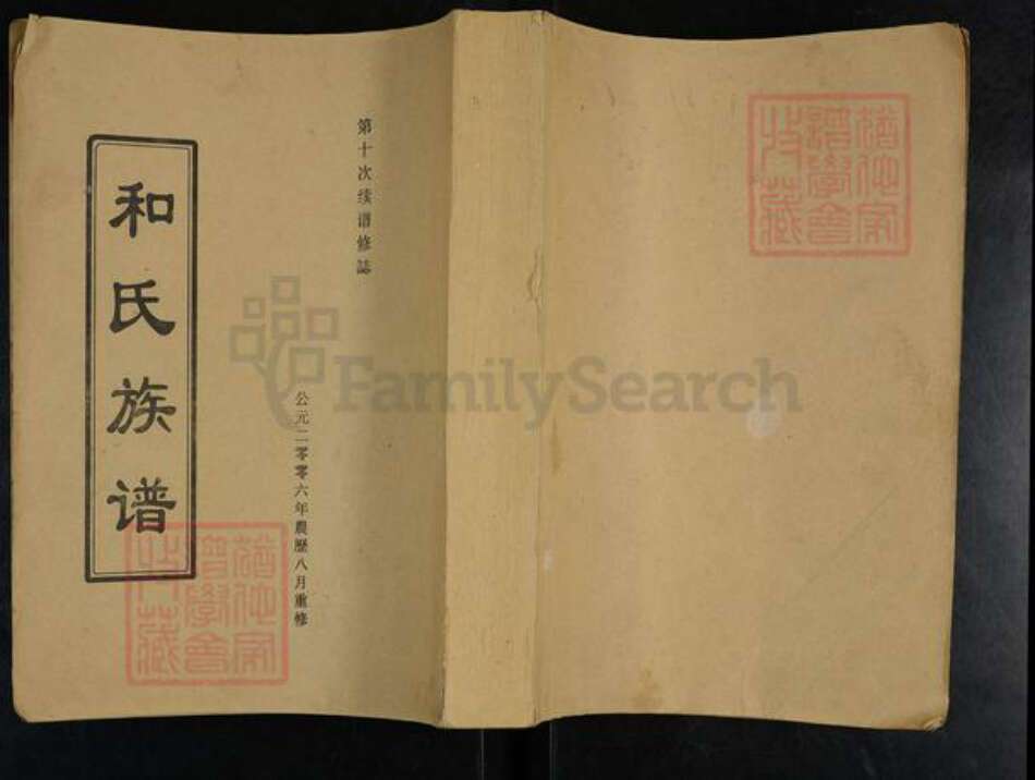 河南省周口市太康县板桥镇和氏追远堂族谱-和氏族谱.pdf电子版缩略图