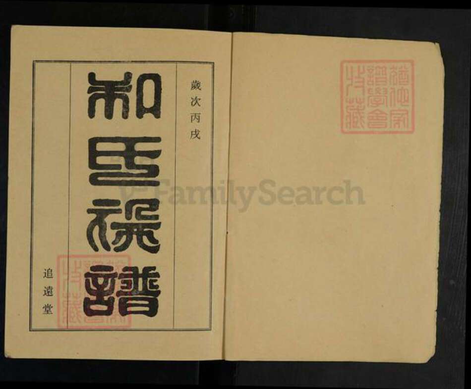 河南省周口市太康县板桥镇和氏追远堂族谱-和氏族谱.pdf电子版预览图1