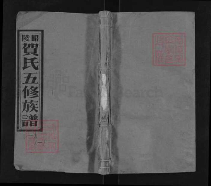 湖南省邵阳市贺氏儒宗堂族谱-昭陵贺氏五修族谱.pdf电子版缩略图