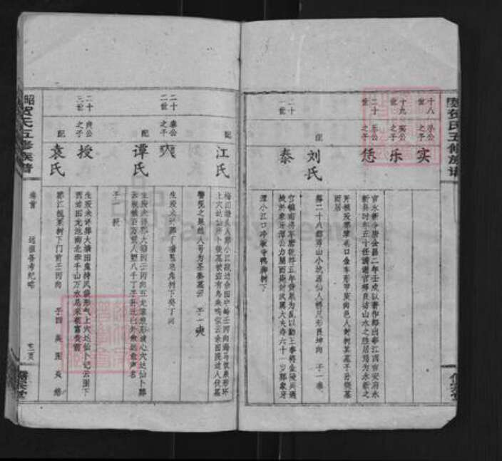 湖南省邵阳市贺氏儒宗堂族谱-昭陵贺氏五修族谱.pdf电子版预览图3