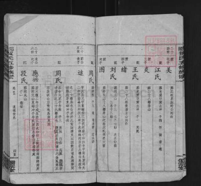 湖南省邵阳市贺氏儒宗堂族谱-昭陵贺氏五修族谱.pdf电子版预览图4