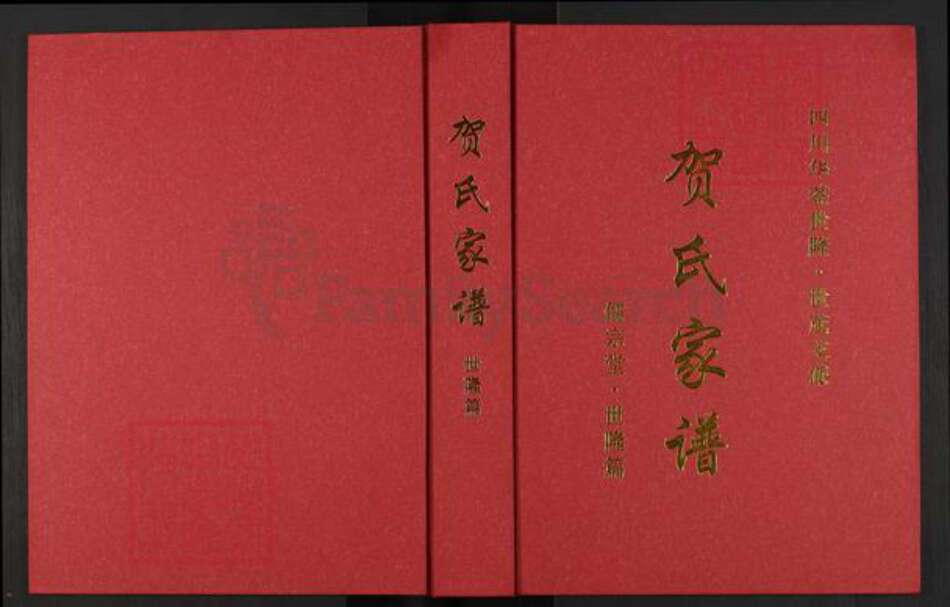 四川省广安市岳池县罗渡镇贺氏儒宗堂族谱-贺氏家谱.四川华蓥世隆.世茂支派.pdf电子版缩略图