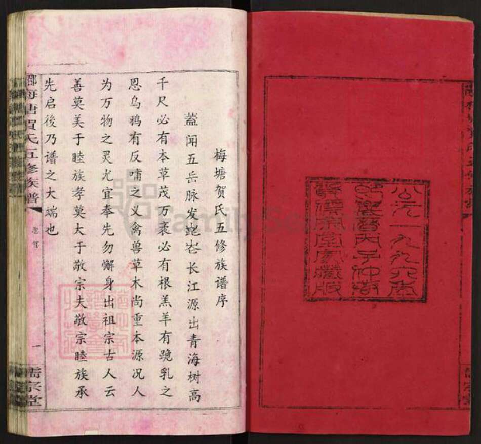 湖南省邵阳市隆回县岩口镇贺氏族谱-邵阳梅塘贺氏五修族谱.pdf电子版预览图2