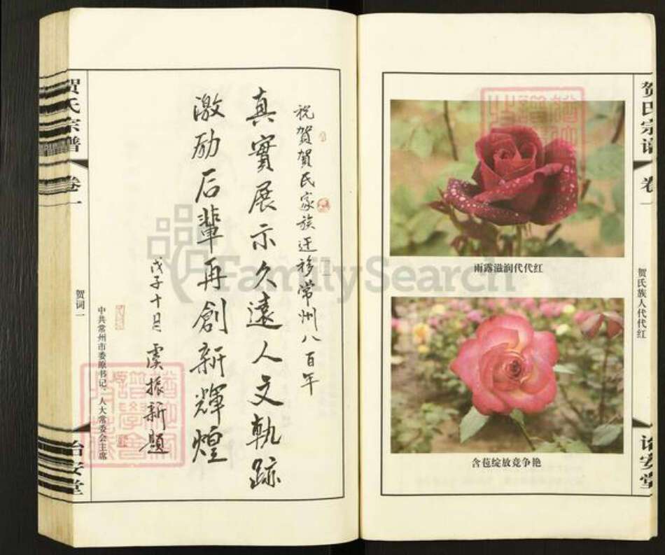 江苏省常州市武进县横林镇贺氏诒安堂族谱-贺氏宗谱.pdf电子版预览图5