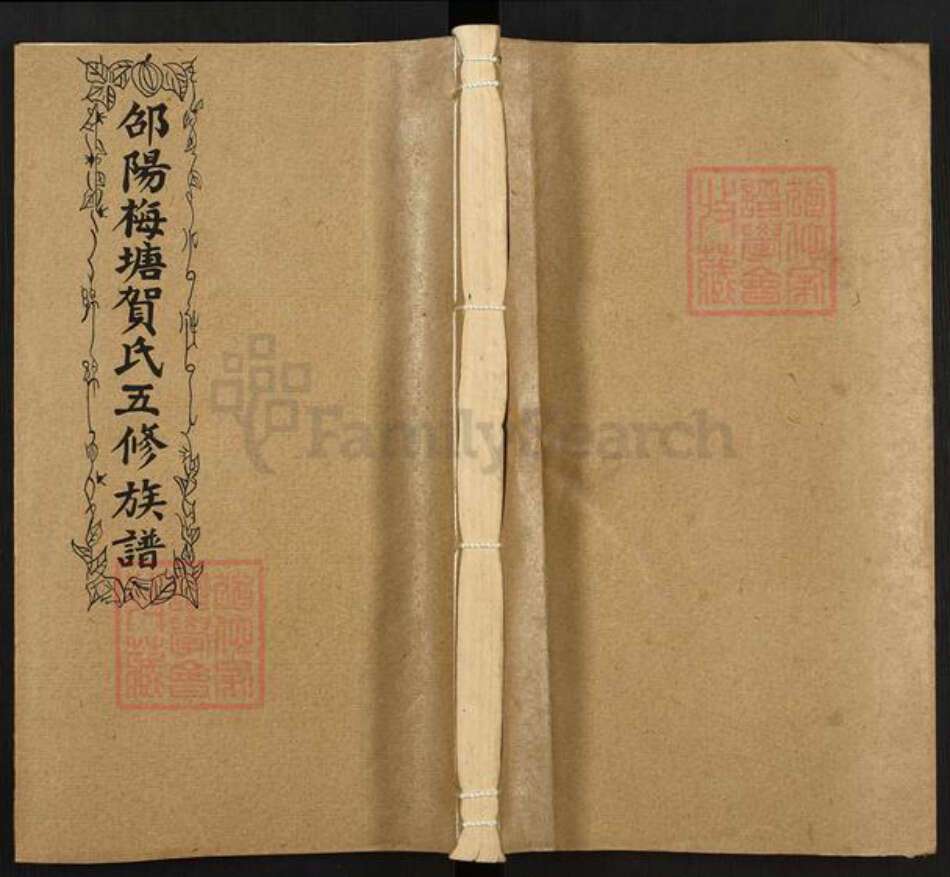 湖南省邵阳市隆回县岩口镇贺氏儒宗堂族谱-邵阳梅塘贺氏五修族谱.pdf电子版缩略图