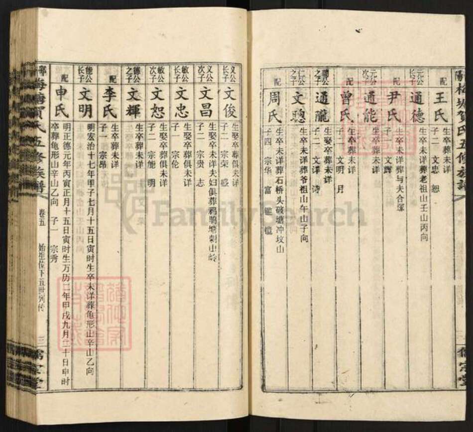 湖南省邵阳市隆回县岩口镇贺氏儒宗堂族谱-邵阳梅塘贺氏五修族谱.pdf电子版预览图3