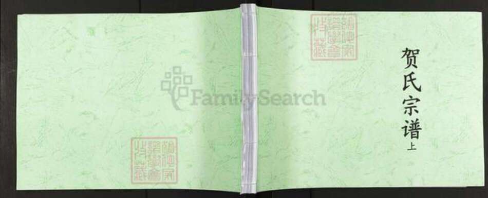 山东省聊城市阳谷县贺氏族谱-贺氏宗谱.pdf电子版缩略图