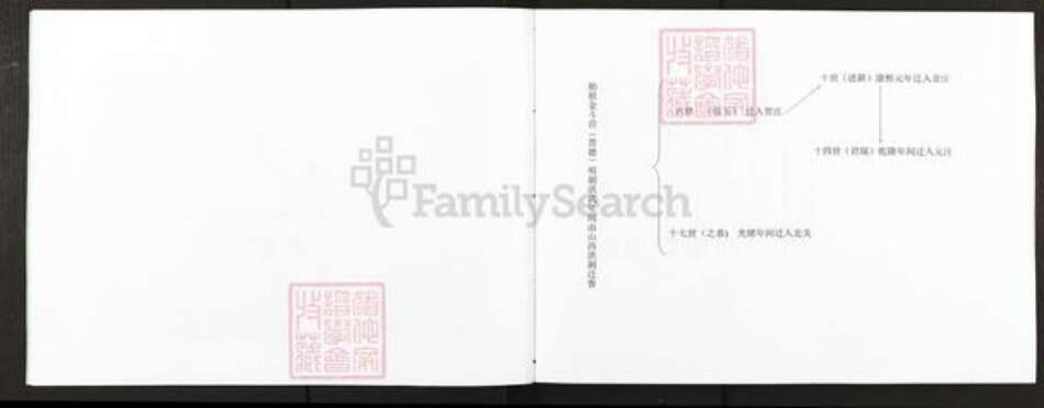 山东省聊城市阳谷县贺氏族谱-贺氏宗谱.pdf电子版预览图4