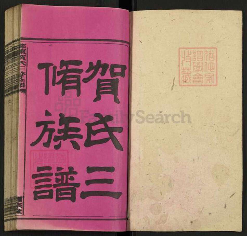 湖南省邵阳市邵东贺氏儒宗堂族谱-邵东贺氏三修族谱.pdf电子版预览图1