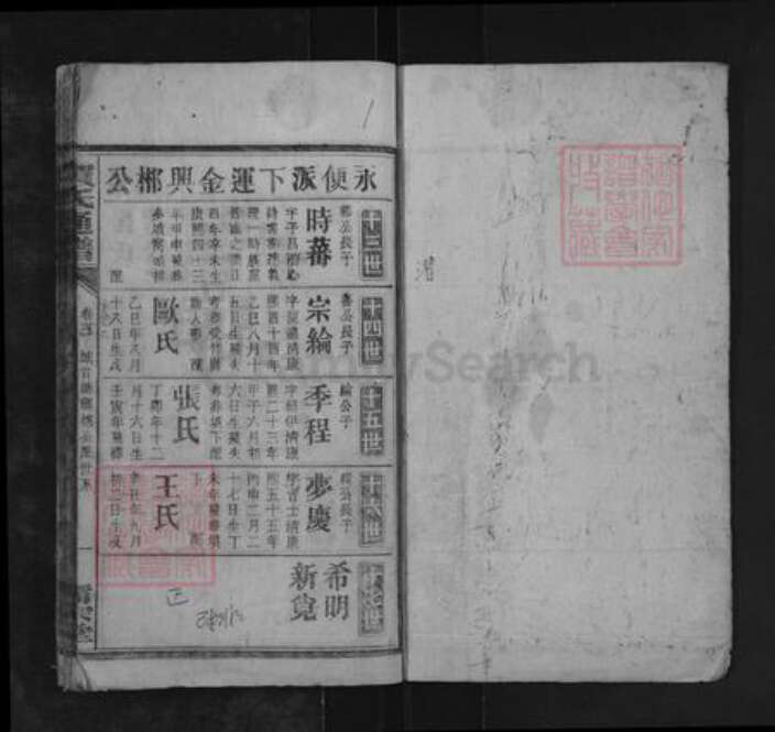 湖南省衡阳市耒阳市长坪乡贺氏儒宗堂族谱-贺氏通谱.pdf电子版预览图1