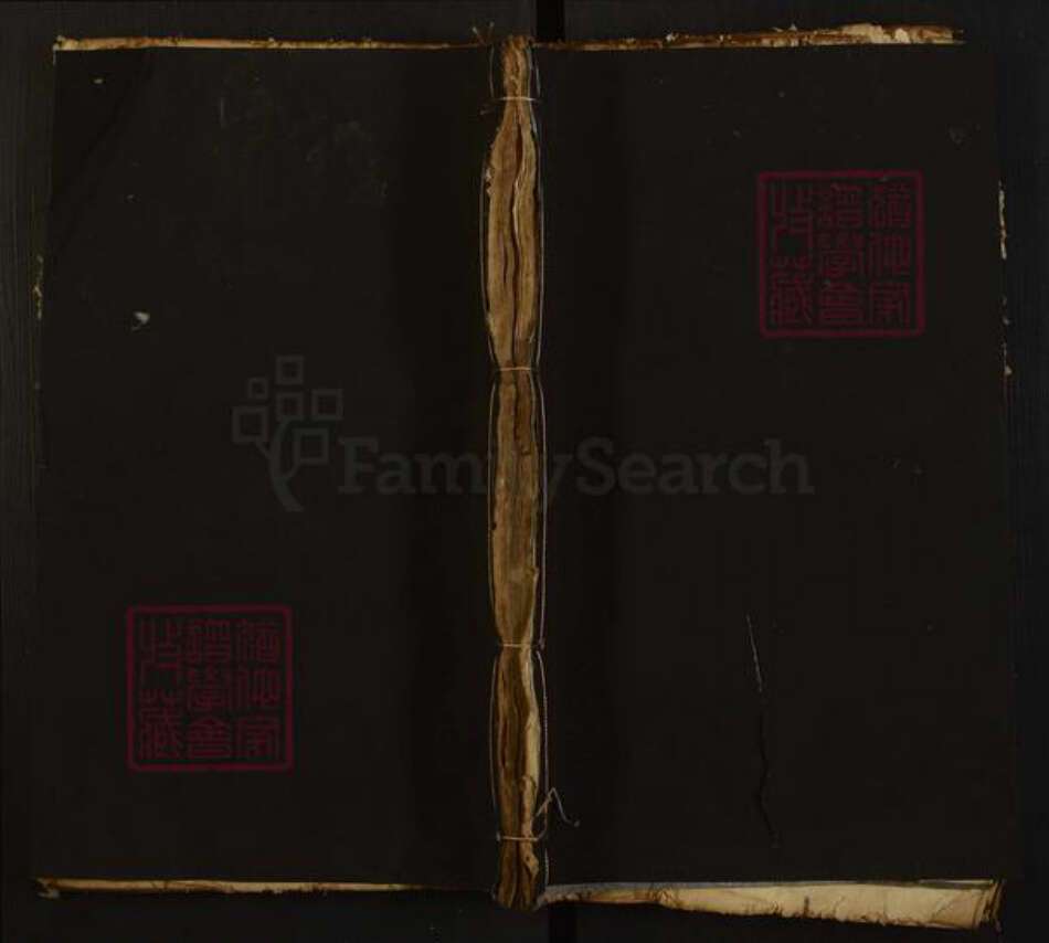 湖南省衡阳市常宁市贺氏儒宗堂族谱-贺氏五修族谱.pdf电子版缩略图