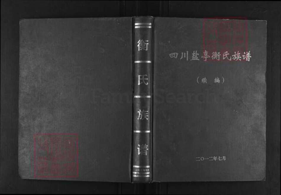 四川省绵阳市盐亭县金孔镇衡氏族谱-四川盐亭衡氏族谱.pdf电子版缩略图