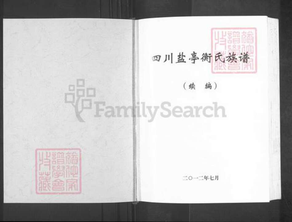 四川省绵阳市盐亭县金孔镇衡氏族谱-四川盐亭衡氏族谱.pdf电子版预览图1