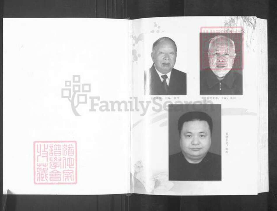 四川省绵阳市盐亭县金孔镇衡氏族谱-四川盐亭衡氏族谱.pdf电子版预览图2