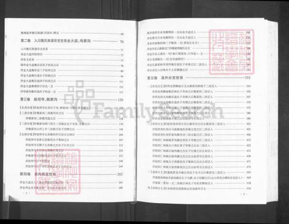 四川省绵阳市盐亭县金孔镇衡氏族谱-四川盐亭衡氏族谱.pdf电子版预览图4
