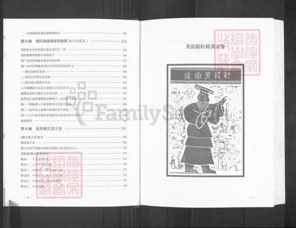 四川省绵阳市盐亭县金孔镇衡氏族谱-四川盐亭衡氏族谱.pdf电子版预览图5