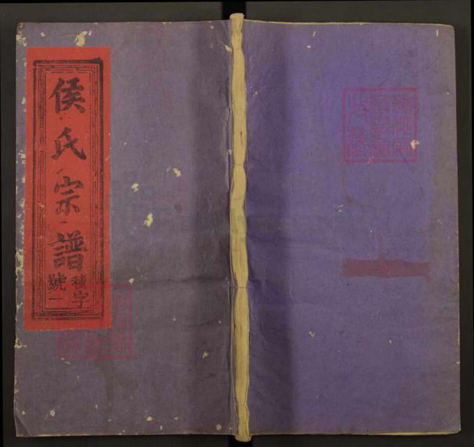 江西省上饶市信州区侯氏族谱-侯氏宗谱.pdf电子版缩略图