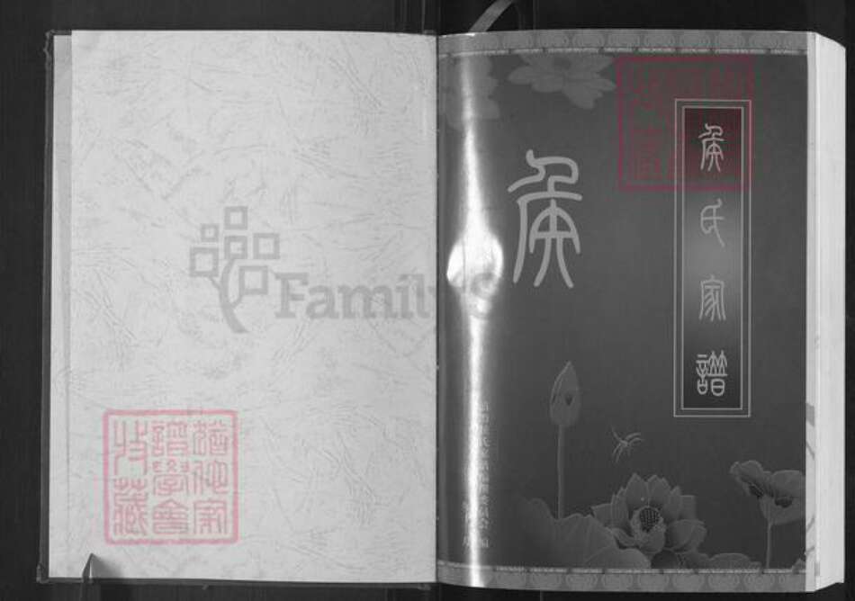 云南省曲靖市麒麟区炎方乡侯氏上谷堂族谱-侯氏家谱.pdf电子版预览图1