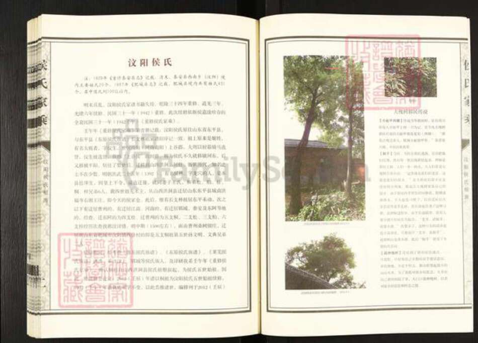 山东省泰安市肥城市汶阳镇侯氏敦睦堂族谱-侯氏家乘.pdf电子版预览图4