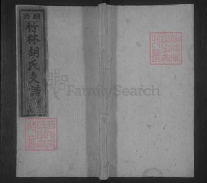 安徽省安庆市桐城市胡氏族谱-胡氏支谱 [10卷,末1卷].pdf电子版缩略图