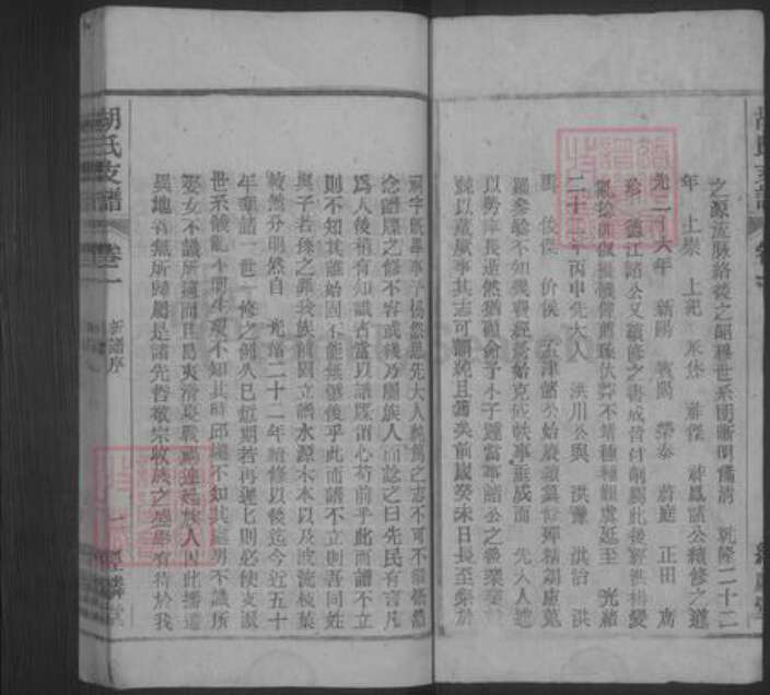 安徽省安庆市桐城市胡氏族谱-胡氏支谱 [10卷,末1卷].pdf电子版预览图2