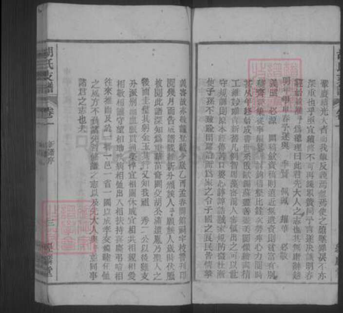 安徽省安庆市桐城市胡氏族谱-胡氏支谱 [10卷,末1卷].pdf电子版预览图3