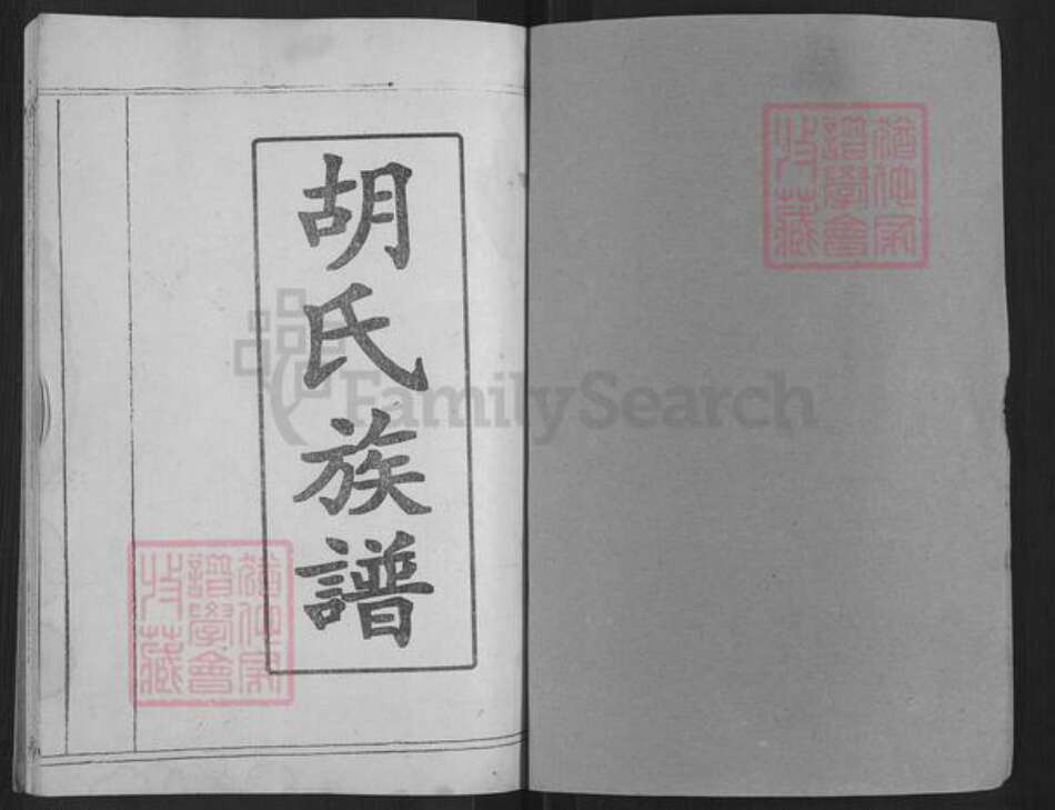 湖北省黄冈市麻城市白果镇胡氏族谱-胡氏族谱.pdf电子版预览图1