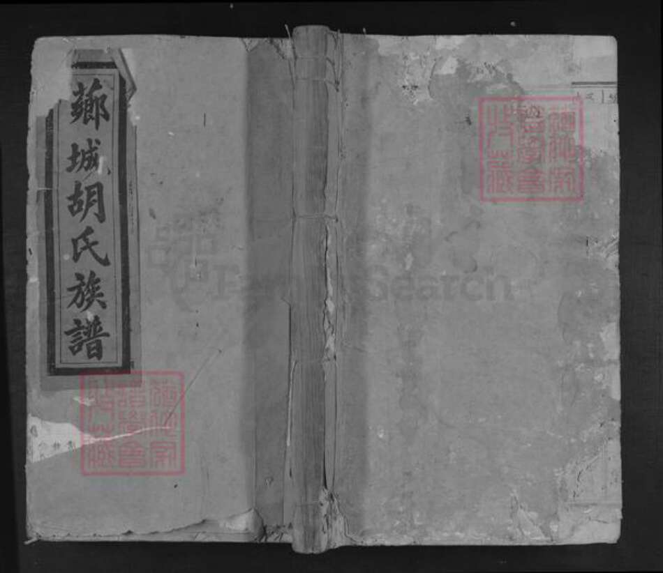 江西省吉安市青原区值夏镇胡氏族谱-芗城胡氏族谱.pdf电子版缩略图