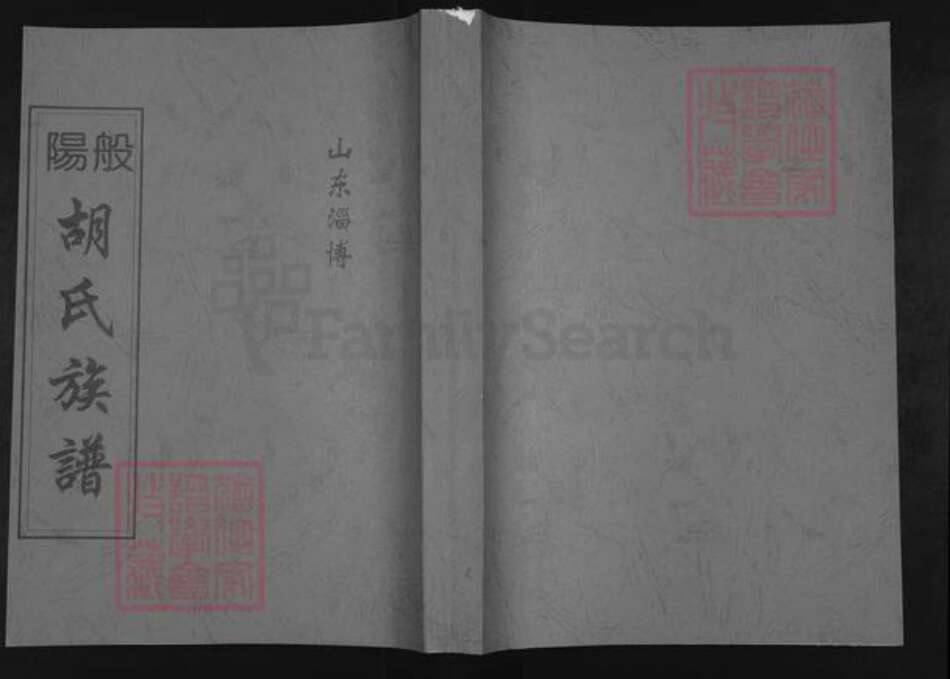 山东省淄博市淄川区胡氏族谱-般阳胡氏族谱.pdf电子版缩略图